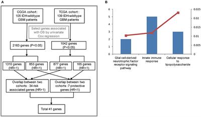 Gene Expression Profiling Stratifies IDH-Wildtype Glioblastoma With Distinct Prognoses